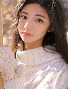 美国派4